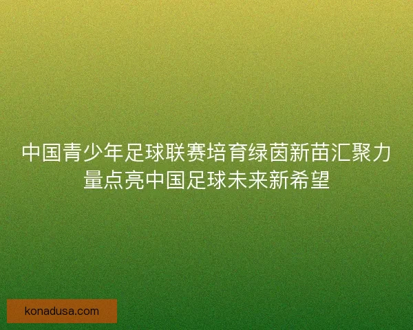 中国青少年足球联赛培育绿茵新苗汇聚力量点亮中国足球未来新希望