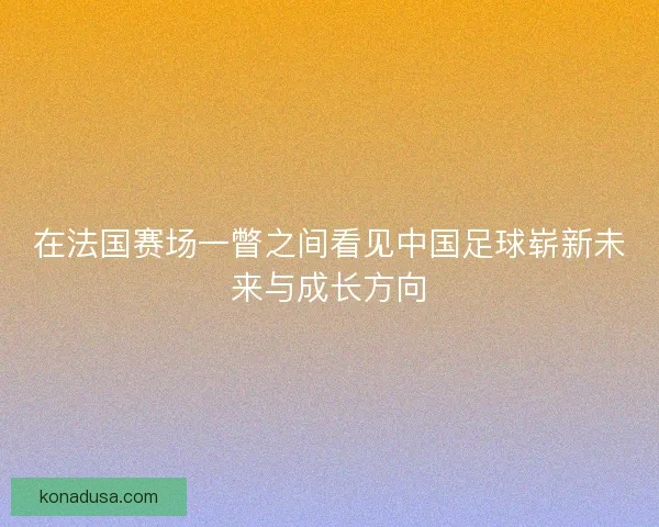 在法国赛场一瞥之间看见中国足球崭新未来与成长方向